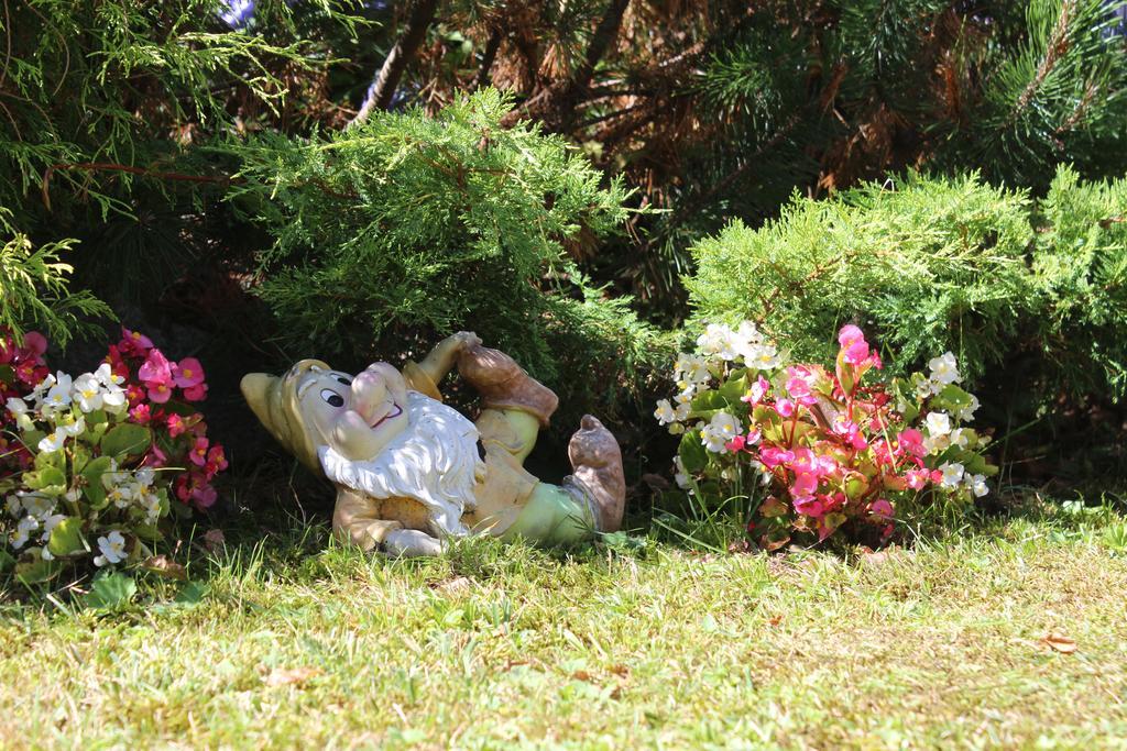 Villa Egle Antronapiana Ngoại thất bức ảnh